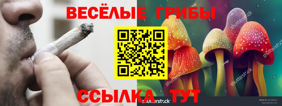Галлюциногенные грибы GOLDEN TEACHER Димитровград